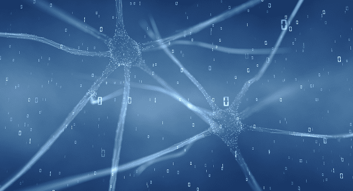 Периферическая нервная система