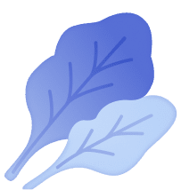 Зеленые листовые овощи